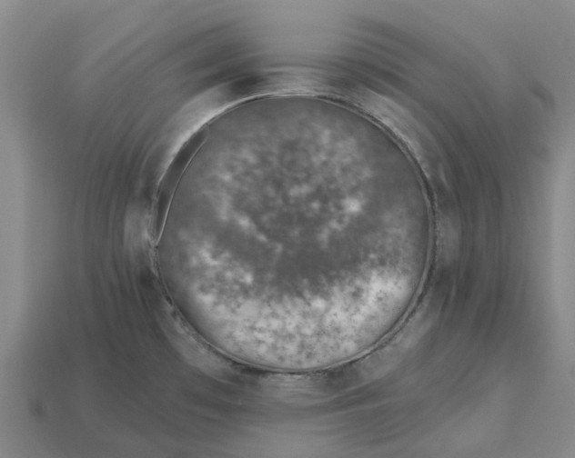 X0000115231481200911131633