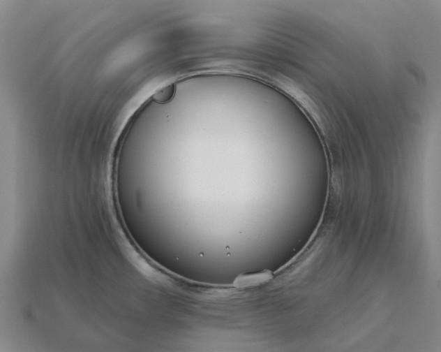 X0000115231482200911131633