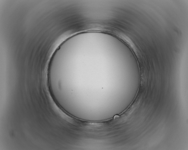 X0000115231483200911131633