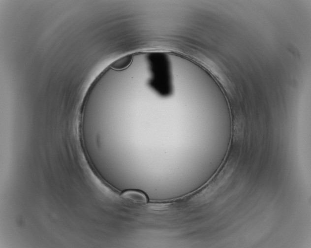 X0000115231484200911131633