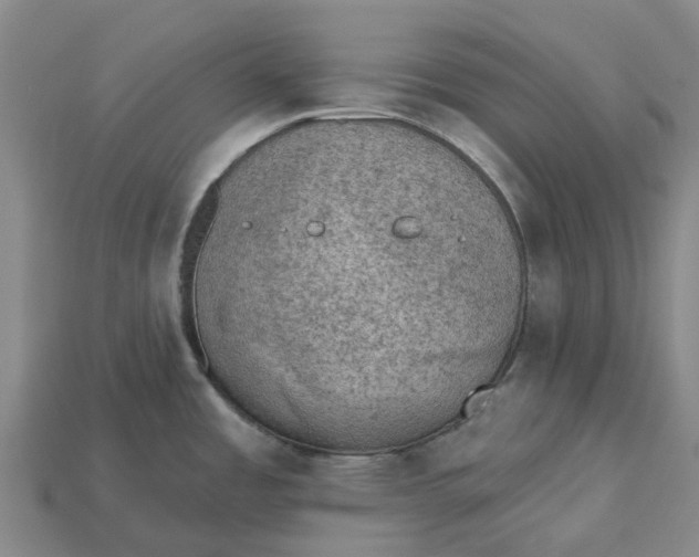 X0000115231485200911131633