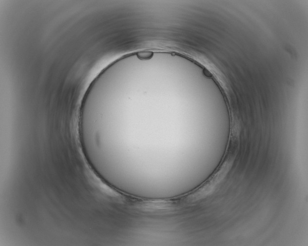 X0000115231486200911131633