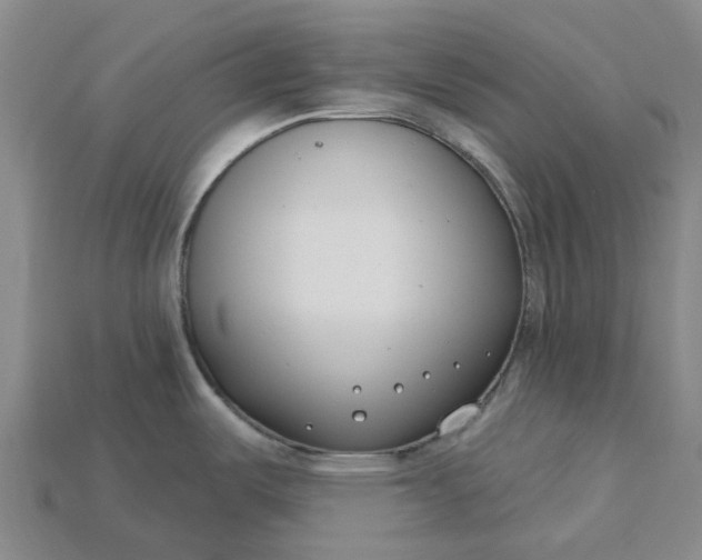 X0000115231487200911131633