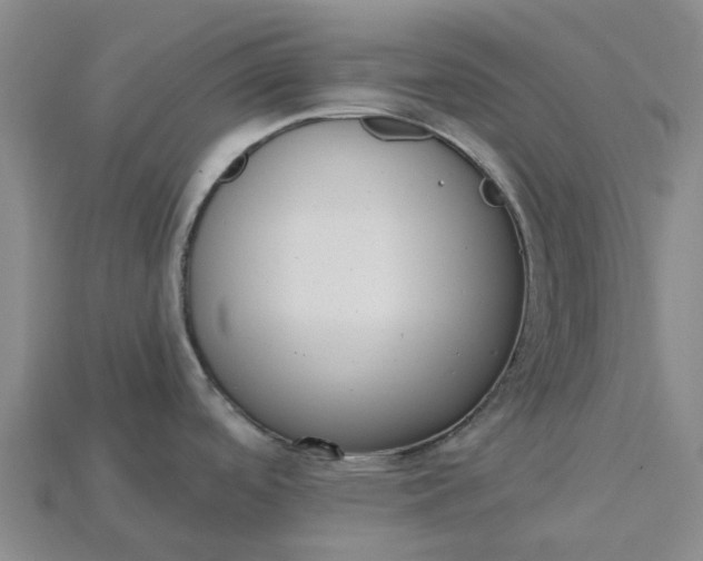 X0000115231488200911131633