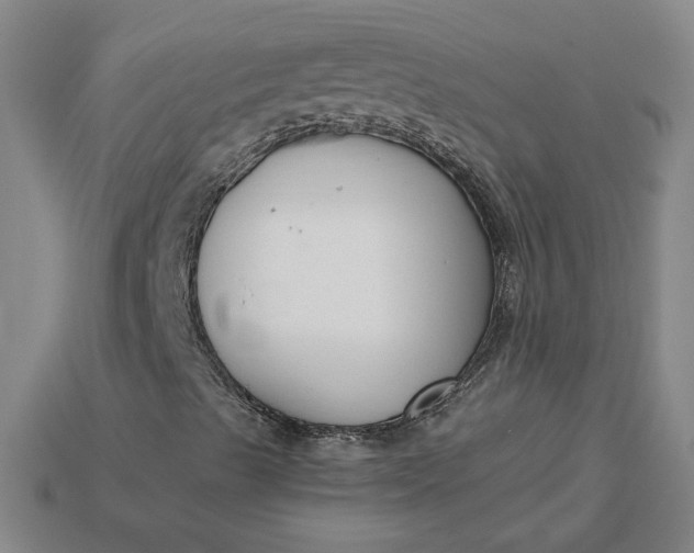 X0000115231489200911131633