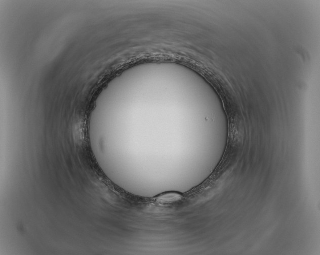 X0000115231490200911131633