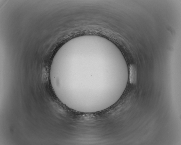 X0000115231491200911131633
