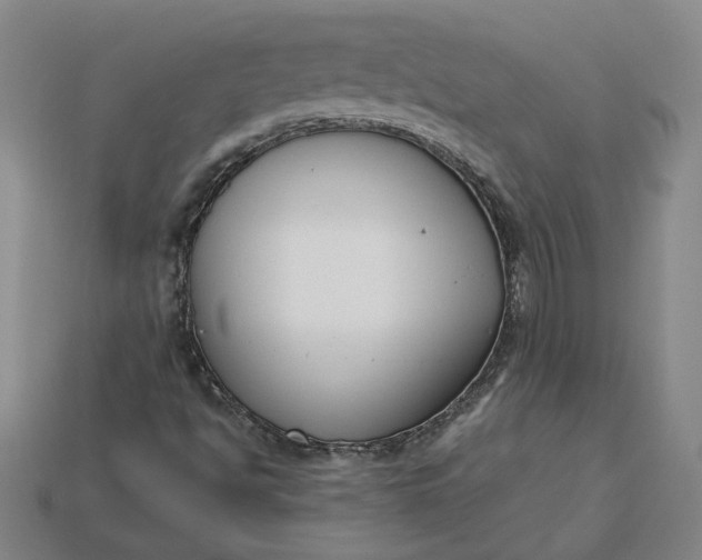 X0000115231494200911131633
