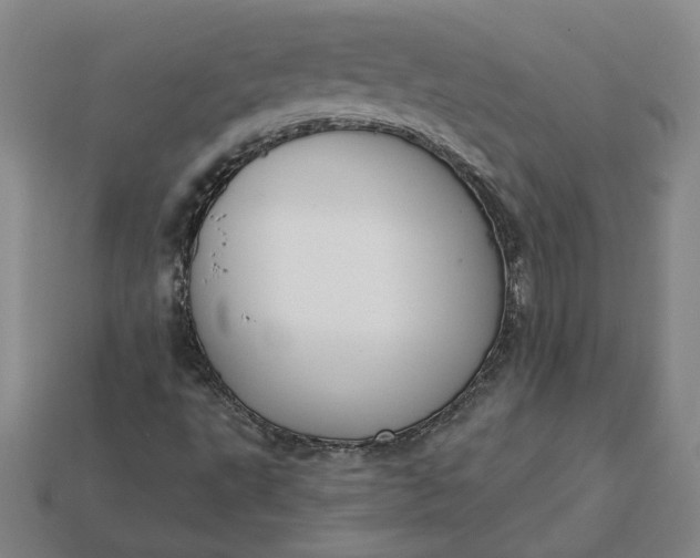 X0000115231495200911131633