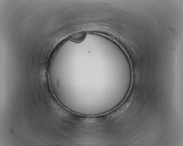 X0000115231497200911131633