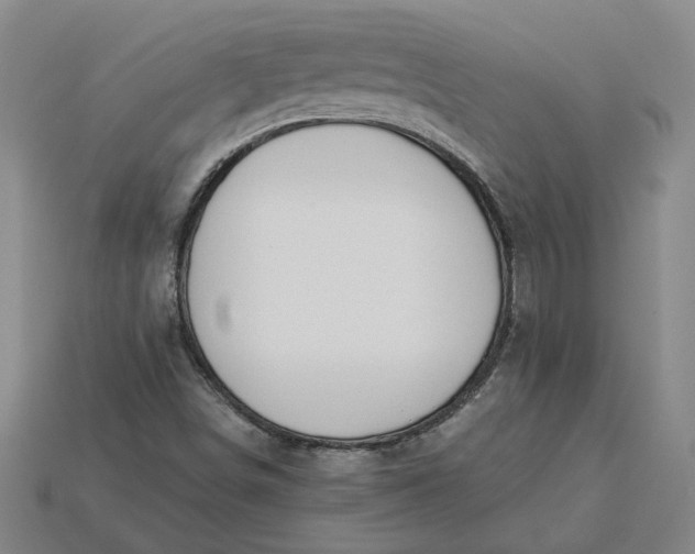 X0000115231498200911131633