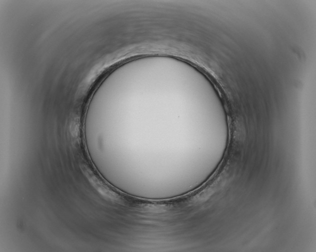 X0000115231499200911131633