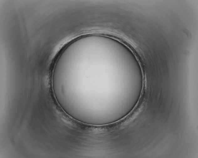 X0000115231501200911131633