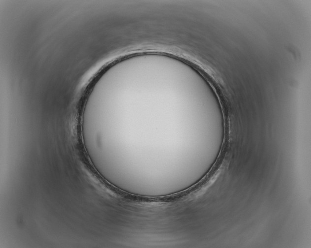 X0000115231502200911131633