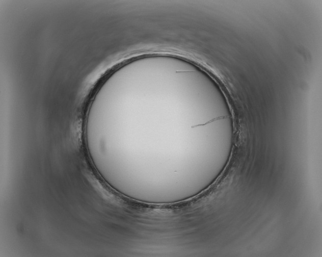 X0000115231503200911131633