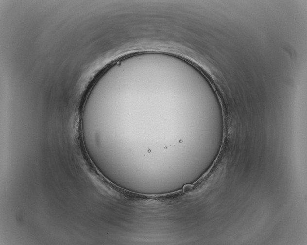 X0000115231507200911131633