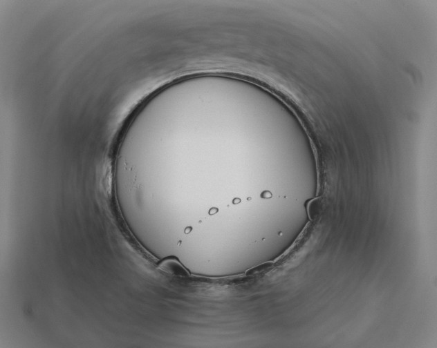 X0000115231509200911131633