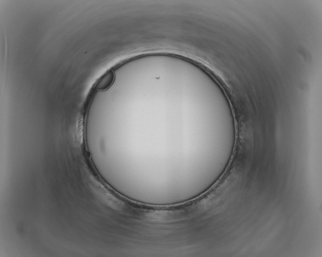 X0000115231510200911131633