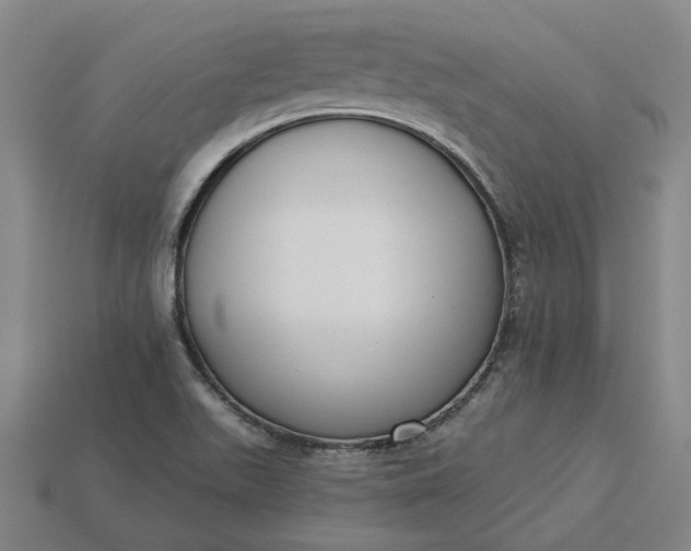 X0000115231511200911131633