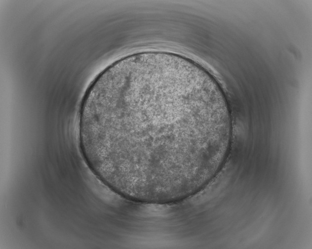 X0000115231514200911131633
