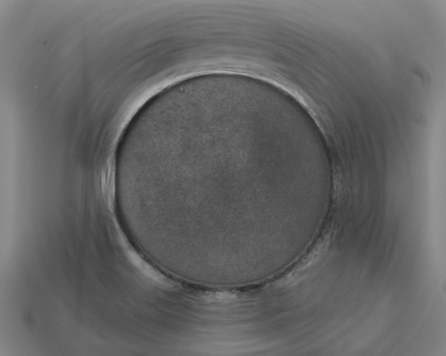 X0000115231515200911131633