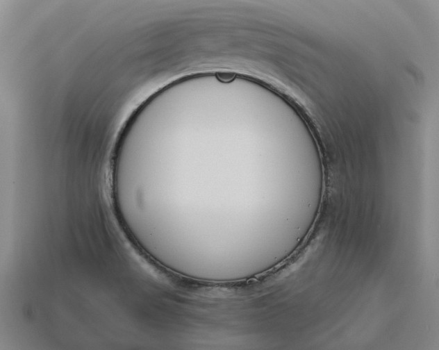 X0000115231517200911131633
