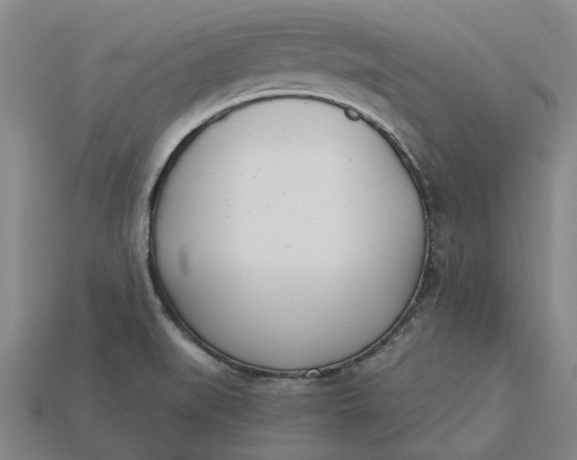X0000115231519200911131633