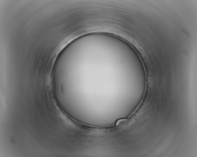X0000115231521200911131633