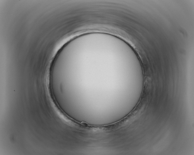 X0000115231523200911131633