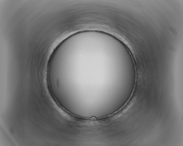 X0000115231525200911131633