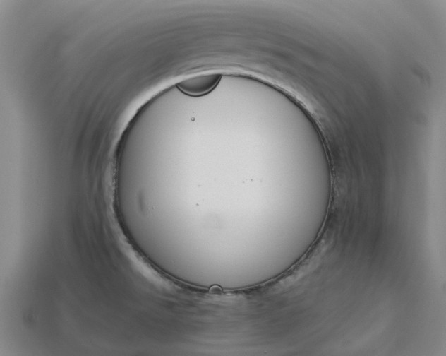 X0000115231526200911131633