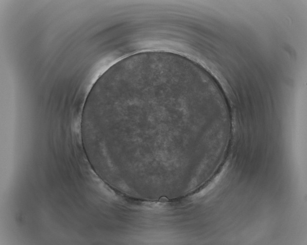 X0000115231529200911131633