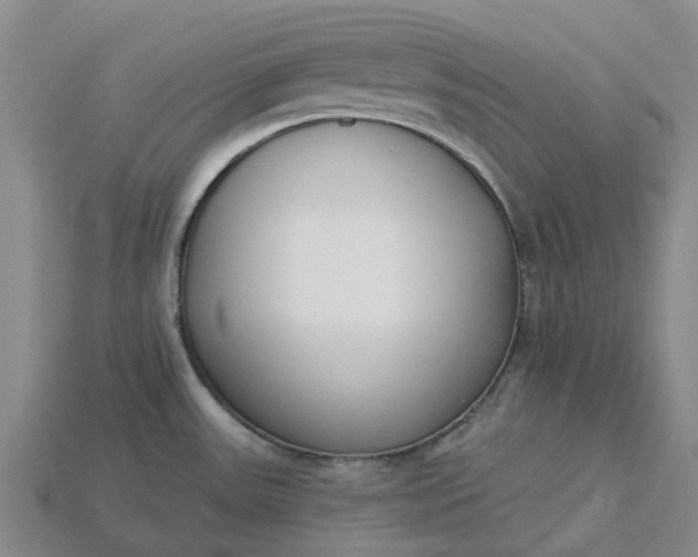 X0000115231531200911131633