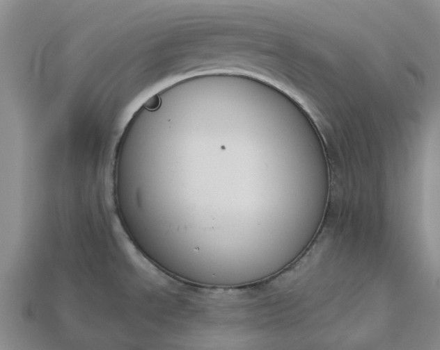 X0000115231534200911131633