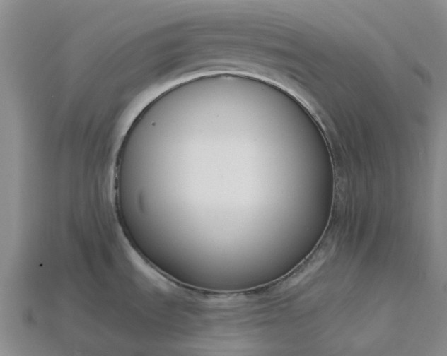 X0000115231535200911131633