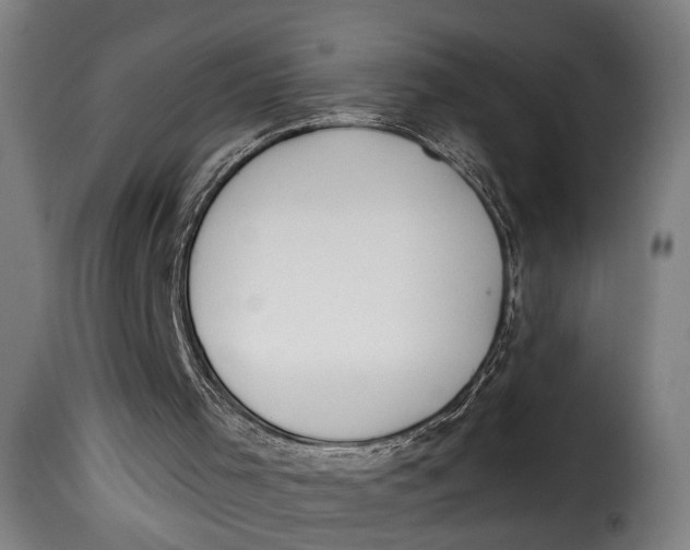 X0000115230001200911201608