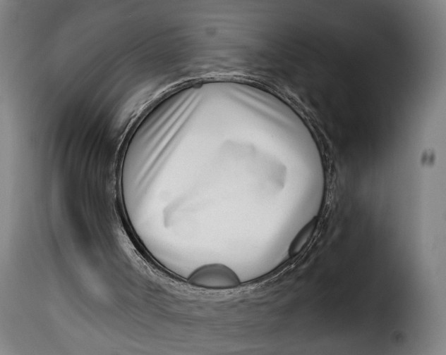 X0000115230002200911201608