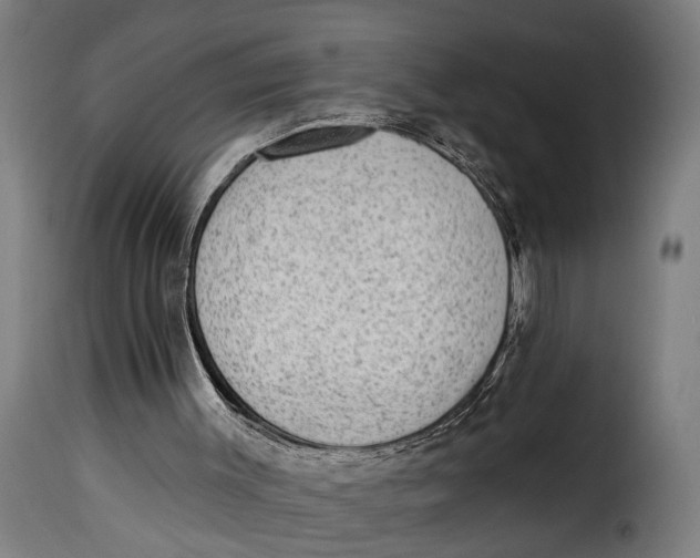 X0000115230003200911201608