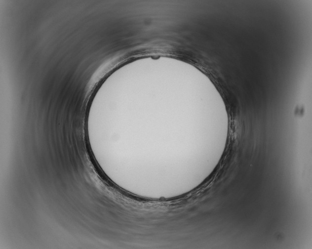 X0000115230004200911201608