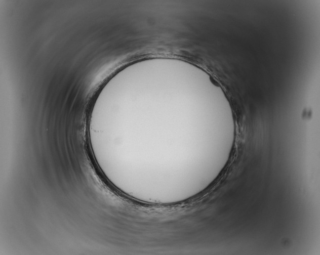 X0000115230005200911201608