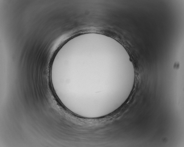 X0000115230006200911201608