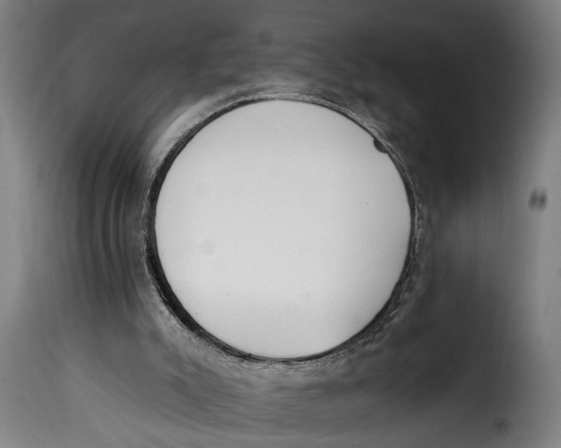 X0000115230007200911201608