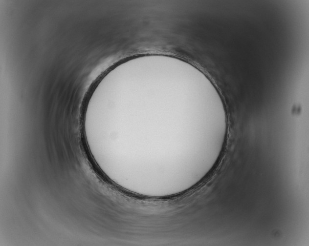 X0000115230008200911201608