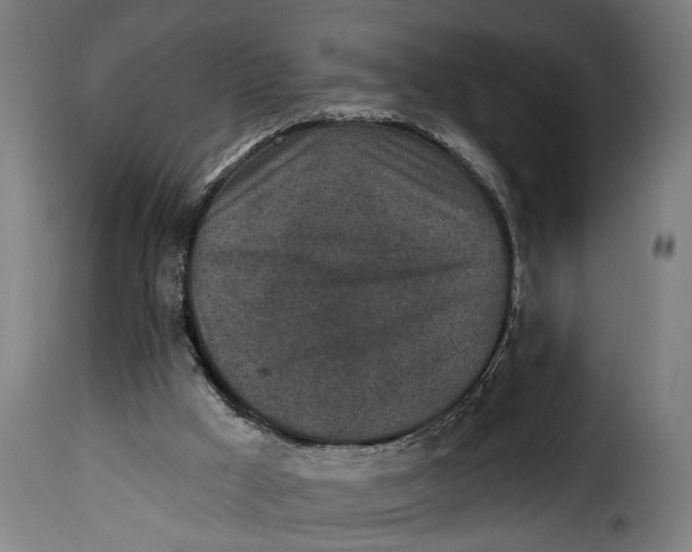 X0000115230009200911201608