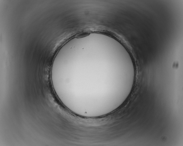 X0000115230010200911201608