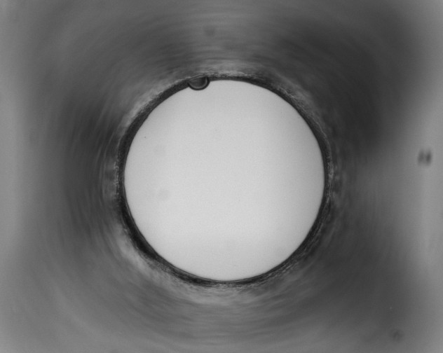 X0000115230012200911201608