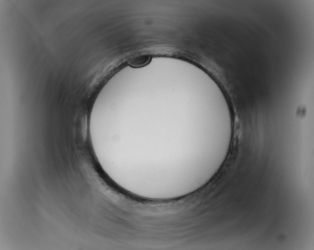 X0000115230013200911201608