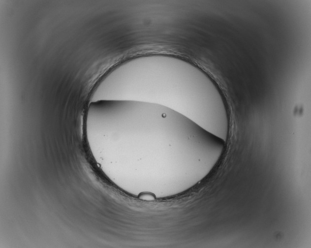 X0000115230014200911201608