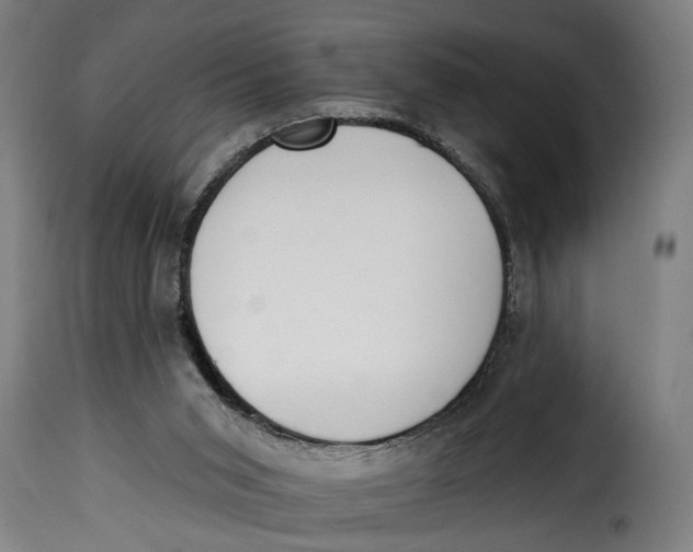 X0000115230015200911201608