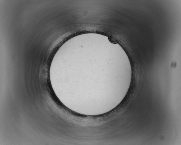 X0000115230016200911201608